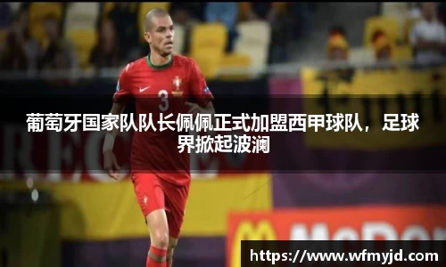葡萄牙国家队队长佩佩正式加盟西甲球队，足球界掀起波澜