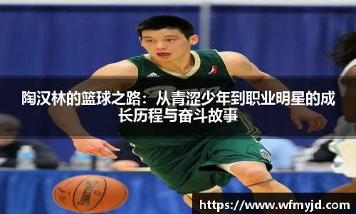 陶汉林的篮球之路：从青涩少年到职业明星的成长历程与奋斗故事