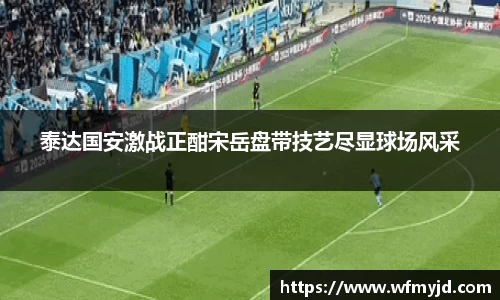 泰达国安激战正酣宋岳盘带技艺尽显球场风采