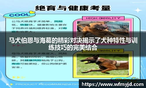 cq9电子官网